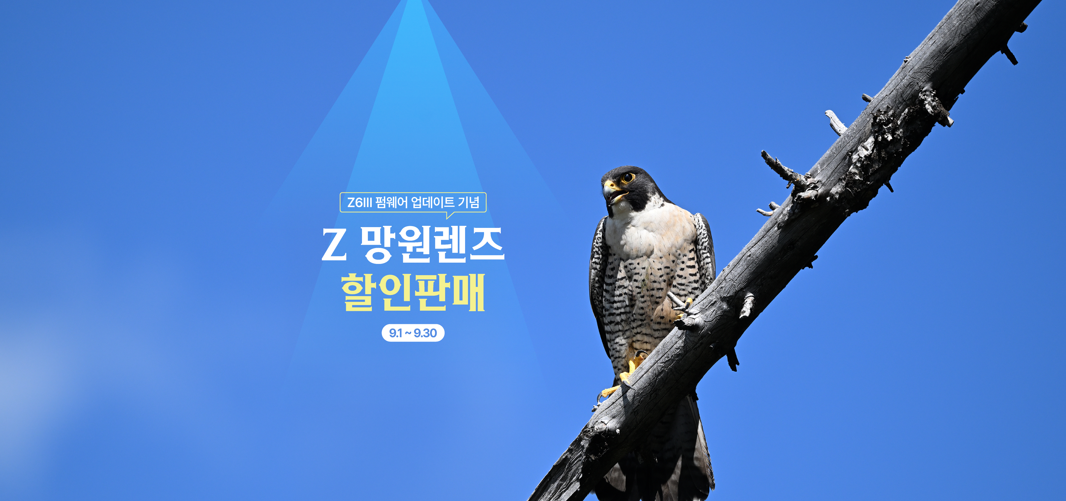 Z망원렌즈 할인판매