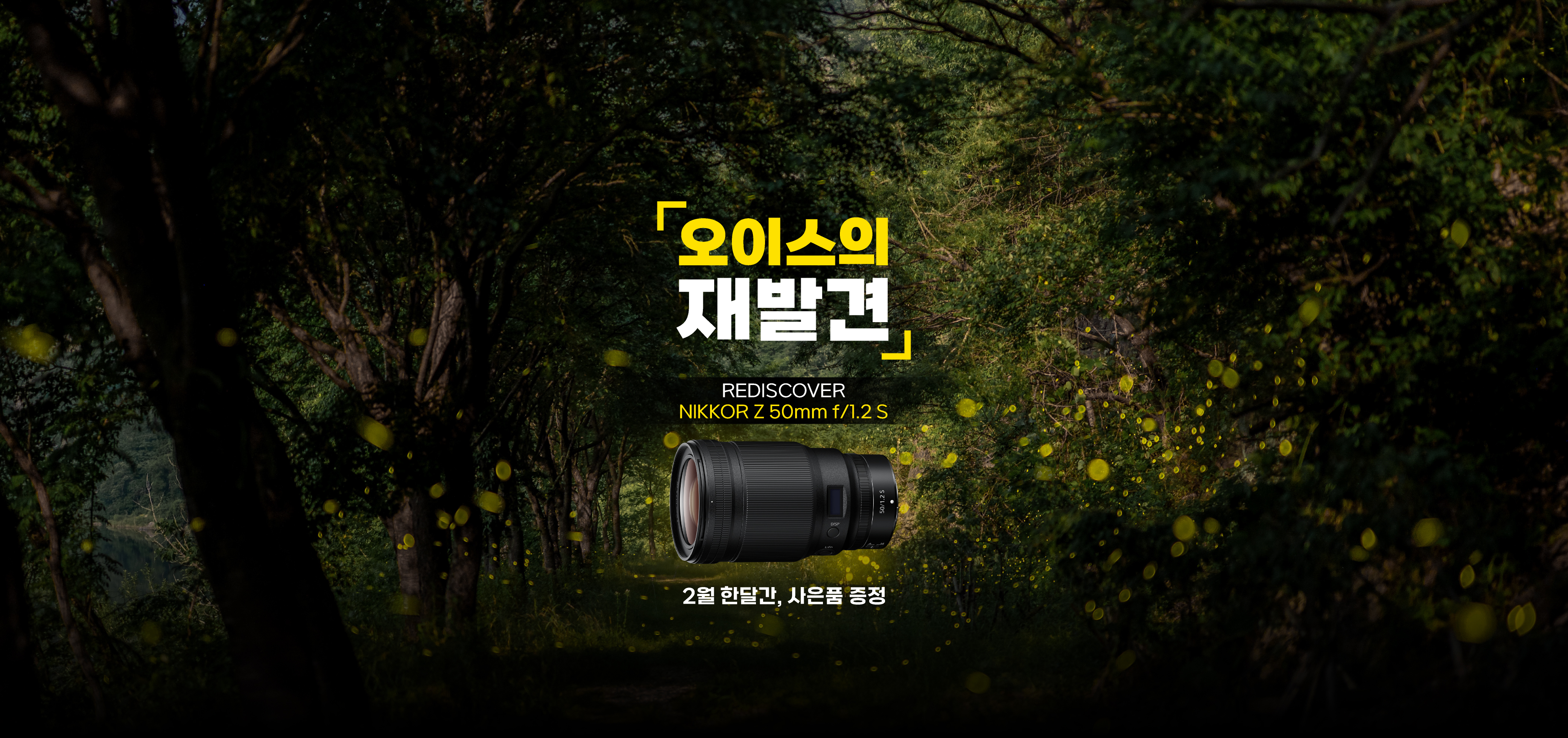 오이스의 재발견