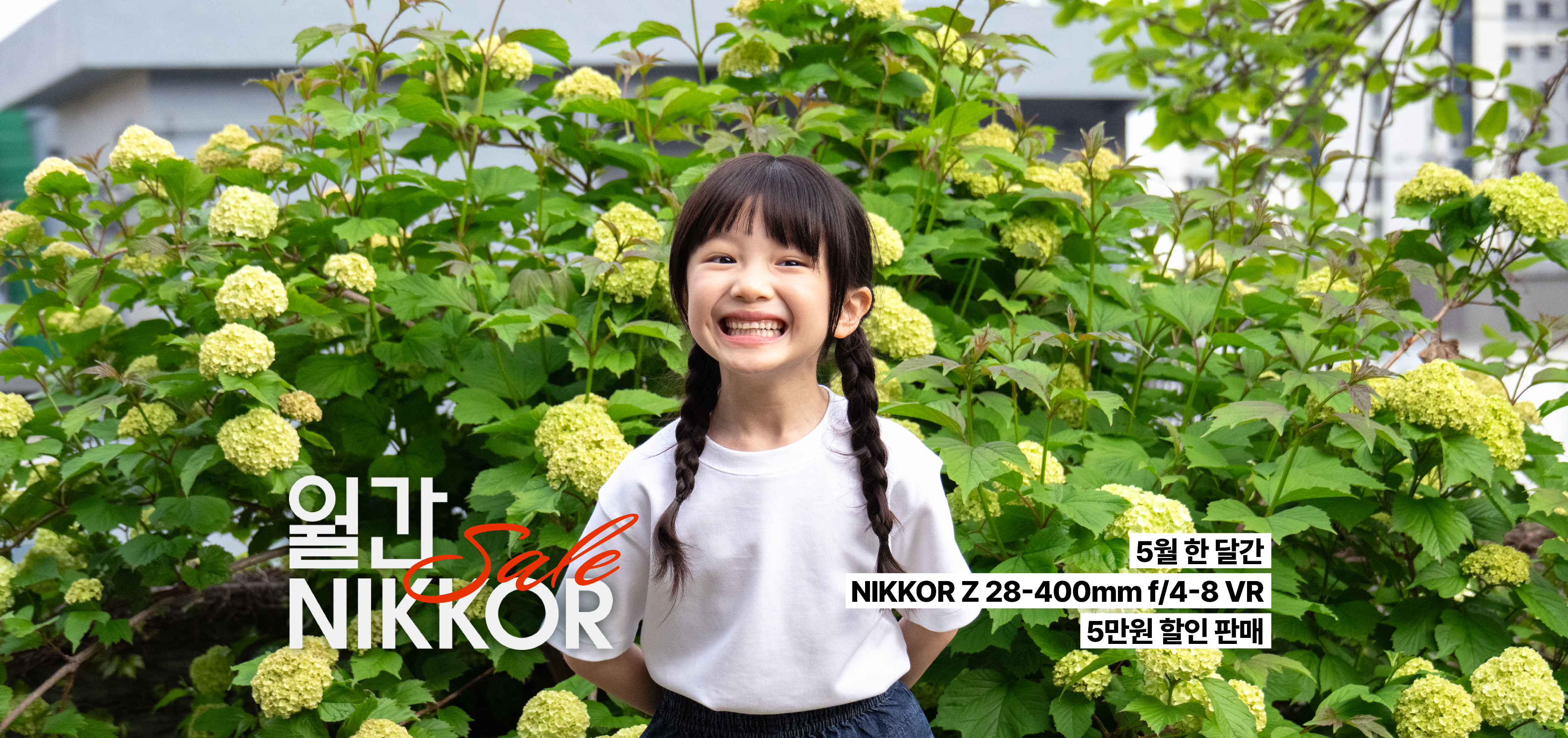 월간 NIKKOR SALE