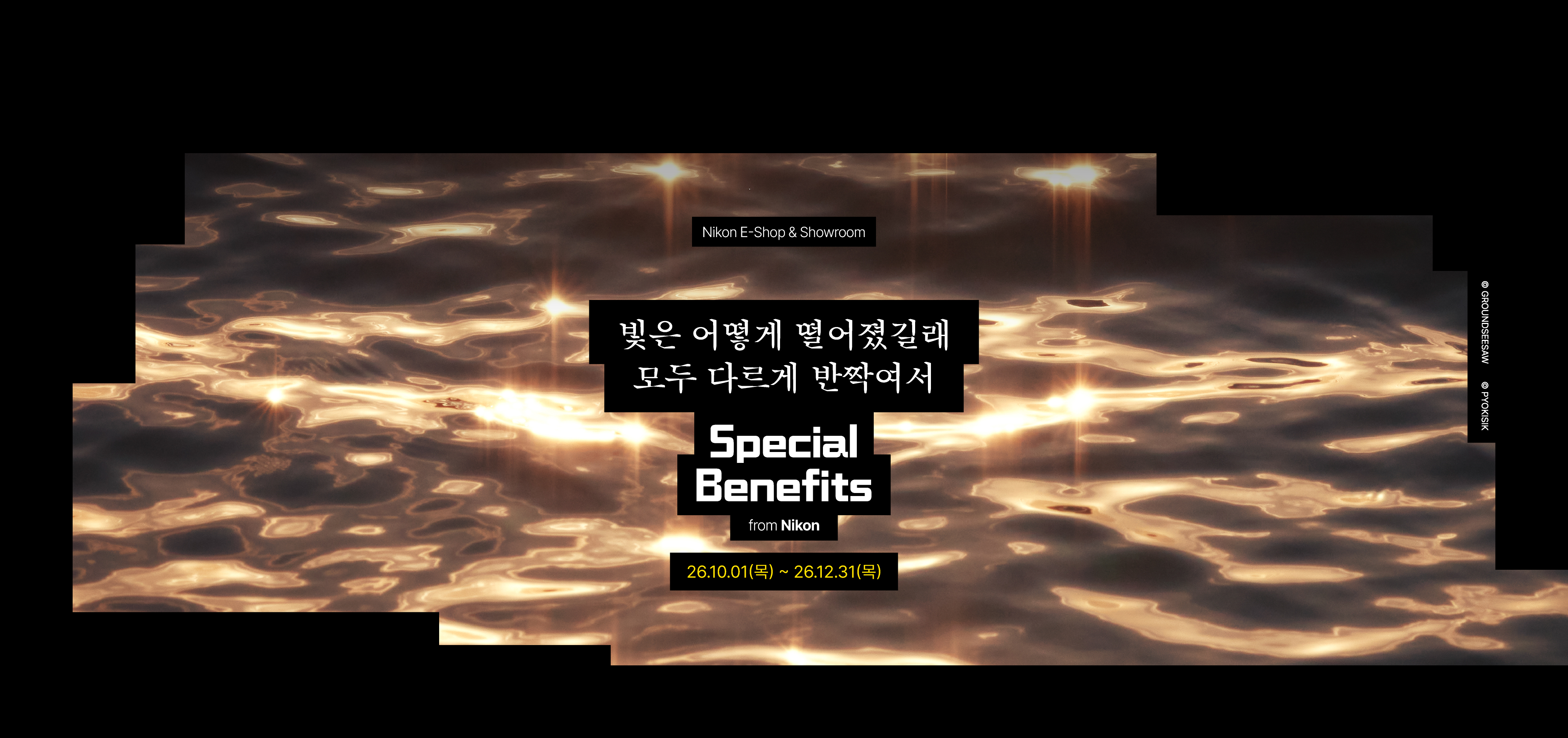 Special Benefits from Nikon
