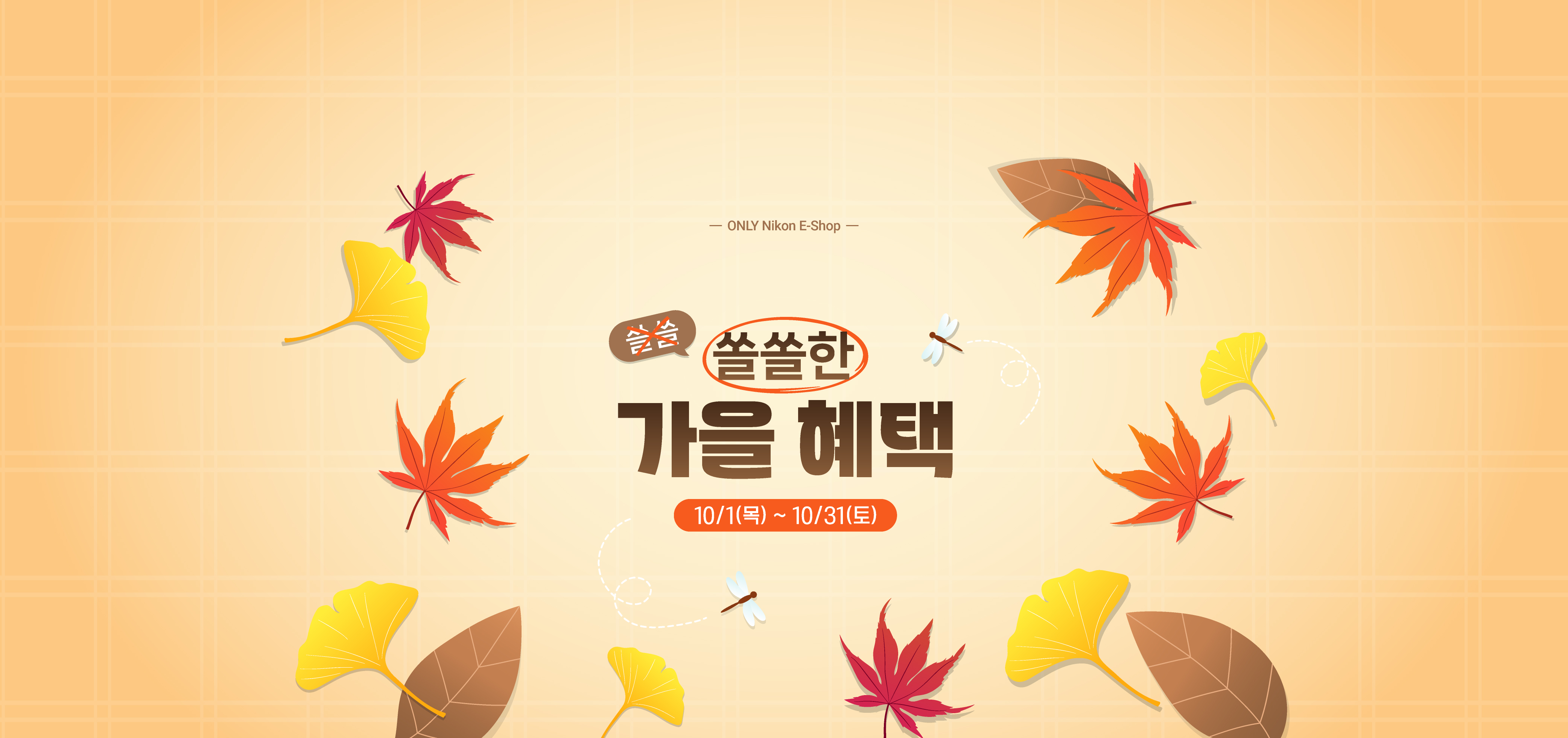 쓸쓸X 쏠쏠O 한 가을 혜택