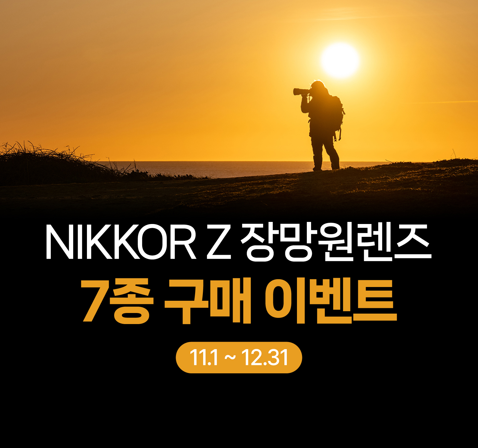 NIKKOR Z 장망원렌즈 7종 구매 이벤트