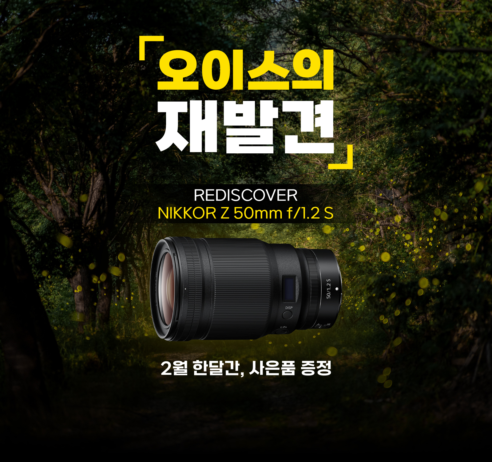 오이스의 재발견