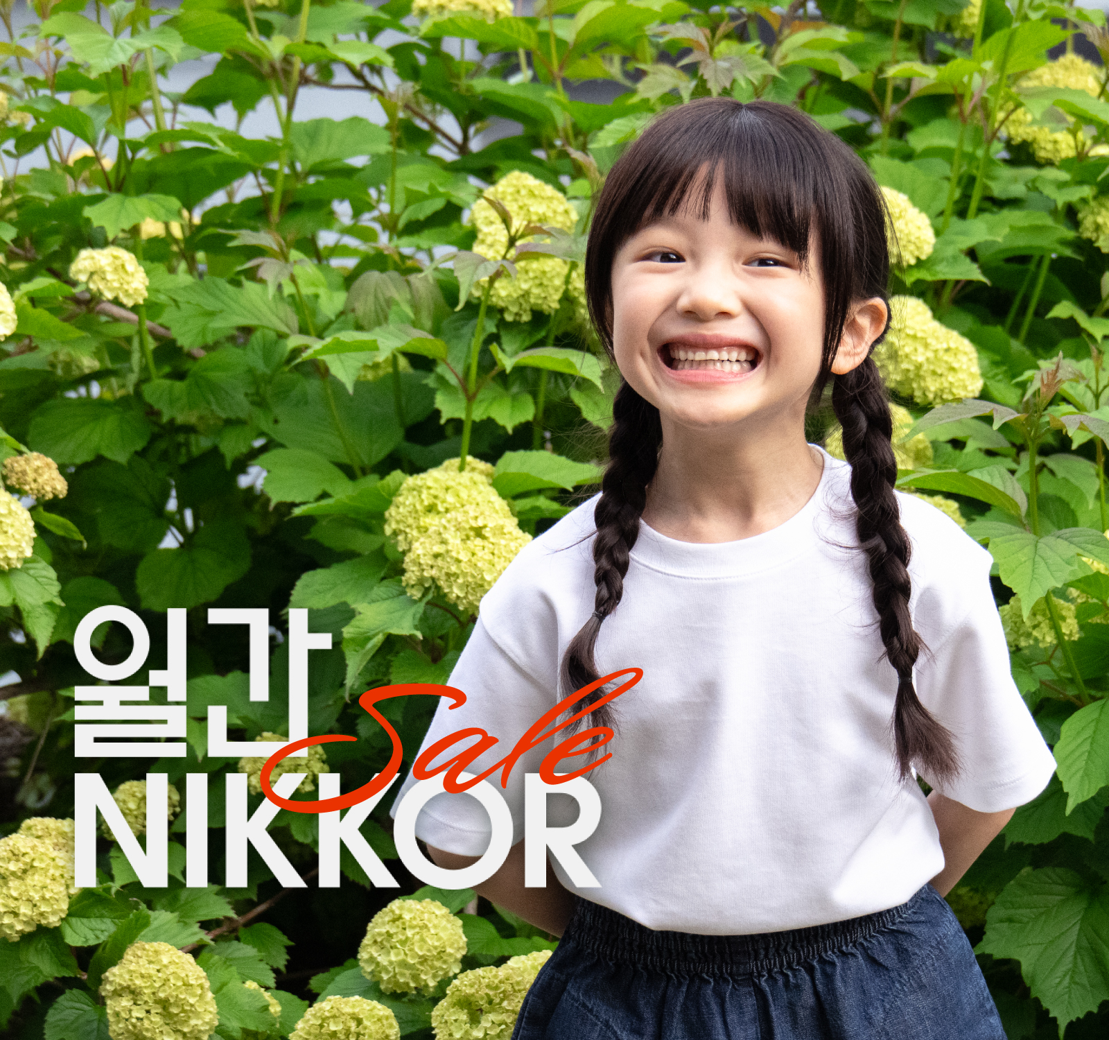 월간 NIKKOR SALE