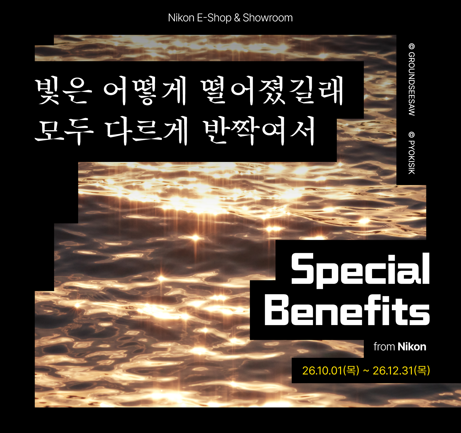 Special Benefits from Nikon