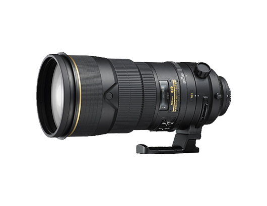 AF-S NIKKOR 300mm f/2.8G ED VR Ⅱ이미지